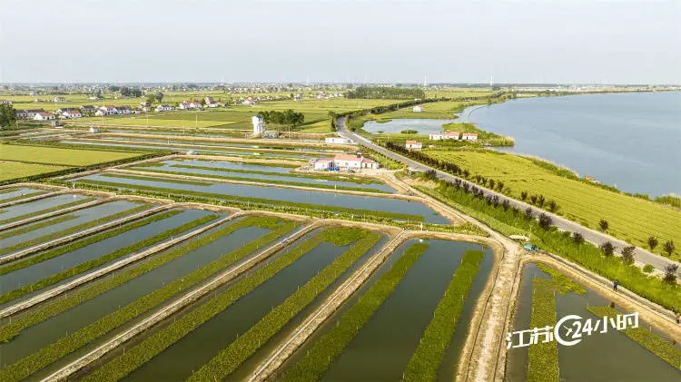 “正安吉他”：全球产业链最完备的吉他生产基地加速走向国际舞台‌