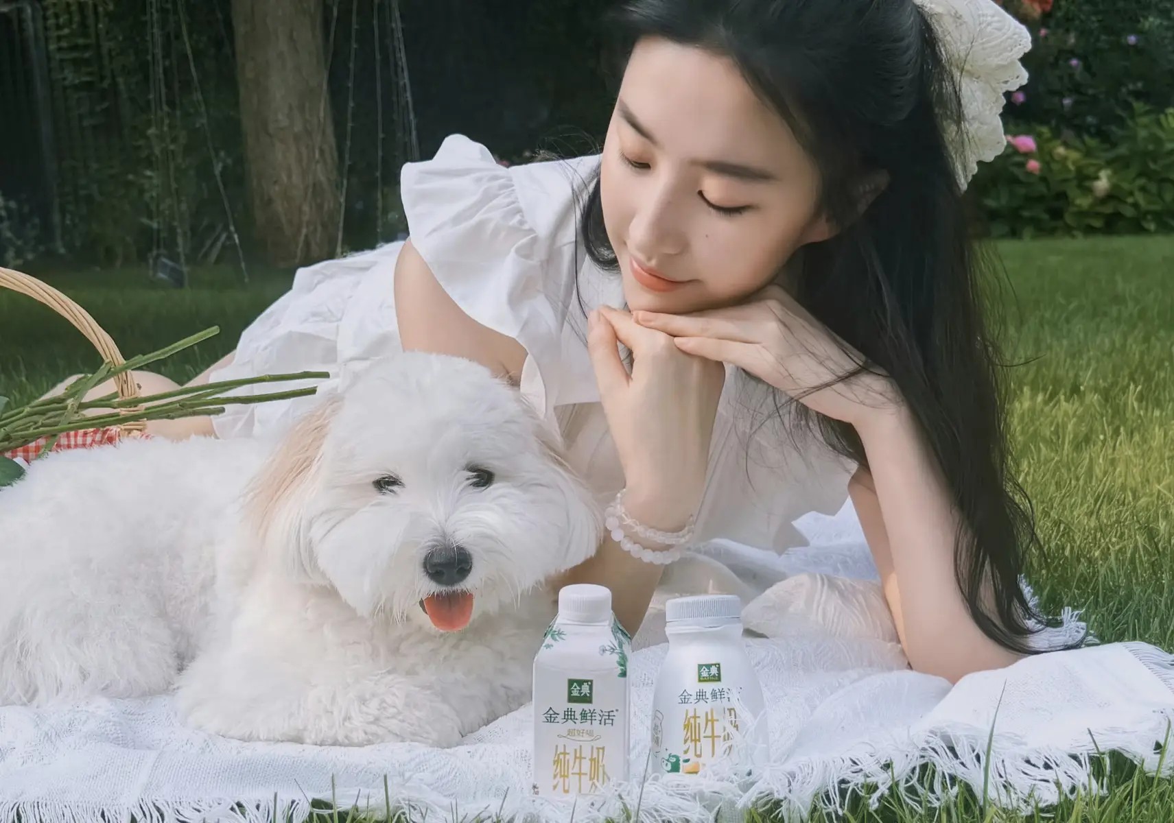 为什么环境越恶劣，树木反而越长寿？这背后藏着一种生存智慧
